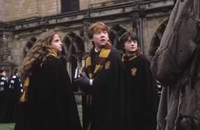 Ermione, Ron ed Harry