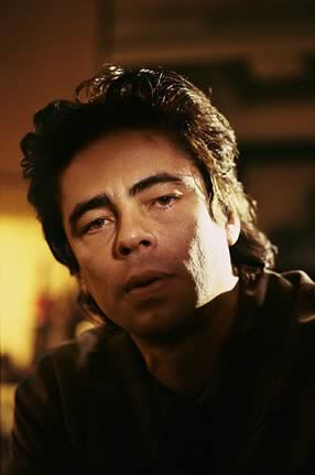 Benicio Del Toro