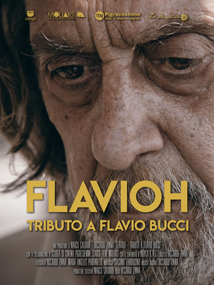 Flavioh - Locandina