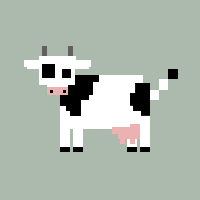 mucca